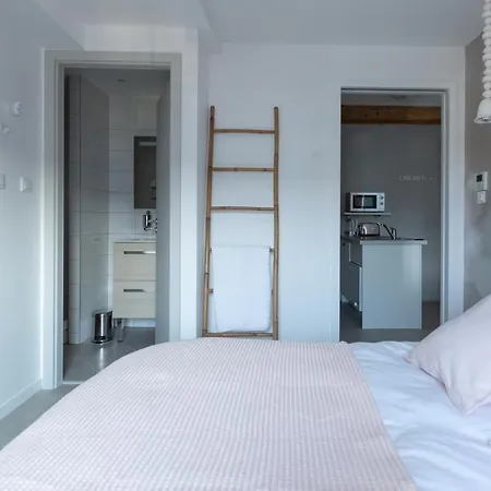 Apartment 1834&spa Colmar