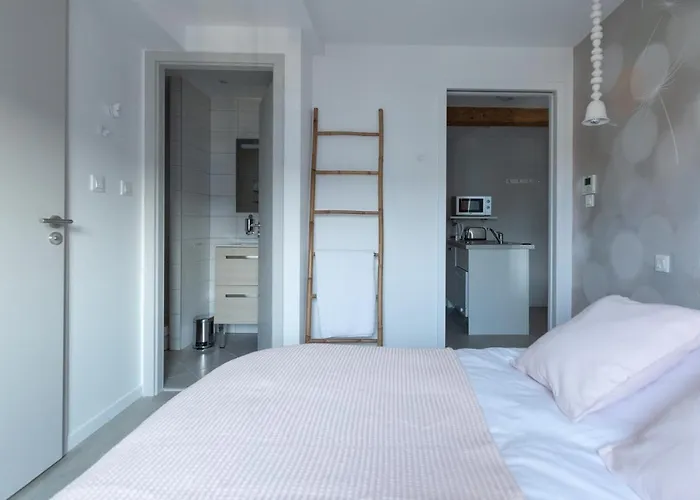 Daire 1834&spa Colmar